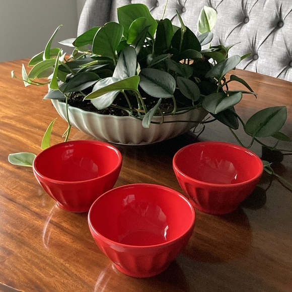 Anthropologie Other - Three Red Anthropologie Biscuit Gloss Latte Cereal Bowls